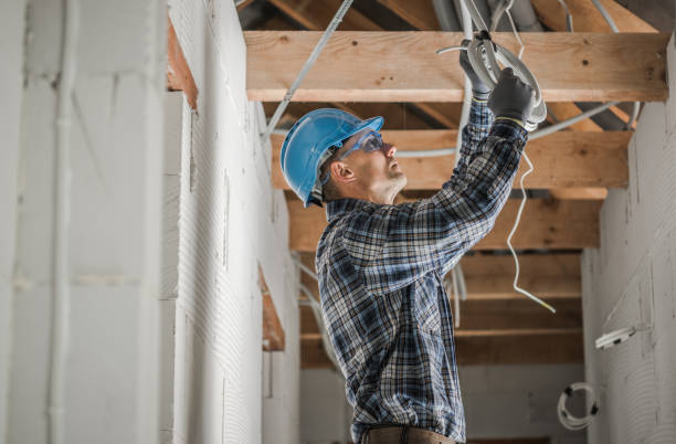 Best Affordable Electrician  in Delmar, MD